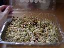 sprouts5.jpg
